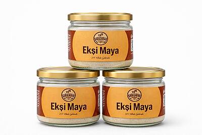DOĞAL EKŞİ MAYA 100GR - 3
